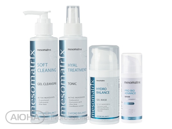 MESOMATRIX Professional